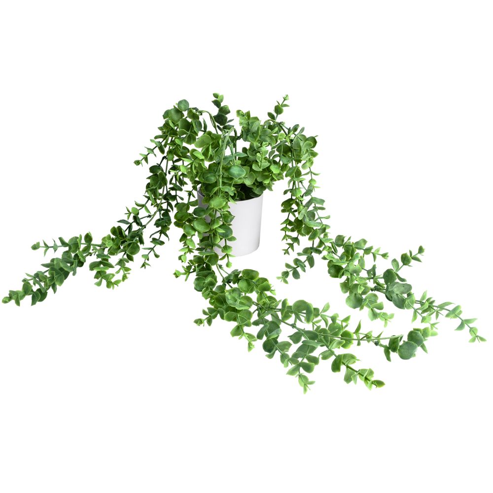 planta-eucalipto-78cm-1297